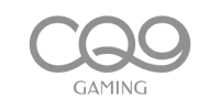 Visa partner logo